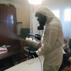 Дезинфекция от клопов в поселке Ильичёво
