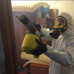 Уничтожение клопов в квартире. поселок Ильичёво