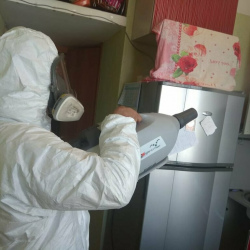Уничтожение насекомых в квартире. поселок Ильичёво