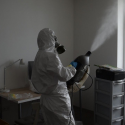 Дезинсекция насекомых в поселке Ильичёво
